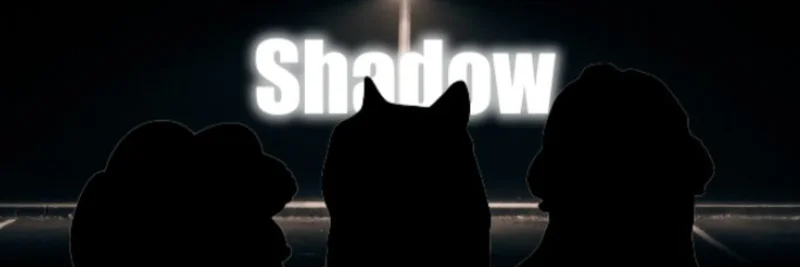 Base上のShadow Token（SHADOW）：Shadow ExchangeとそのDeFiエコシステムの徹底ガイド