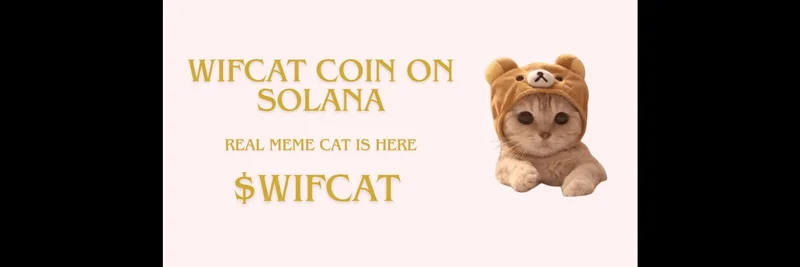WIFCAT on Solana: In-Depth Guide to the Trending Cat Meme Token