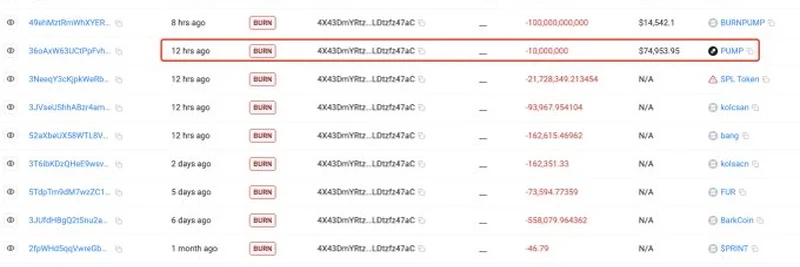 Accidentally Burning 10M $PUMP Tokens: A Costly Lesson in Crypto Wallet Safety