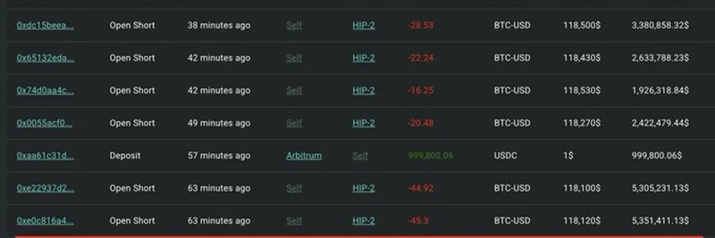 كيف حقق حوت بيتكوين أرباحًا بقيمة 228,000 دولار عبر تداول ذكي في 2025