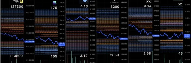 Understanding Crypto Liquidation Levels: Marty Party’s Insights for 2025
