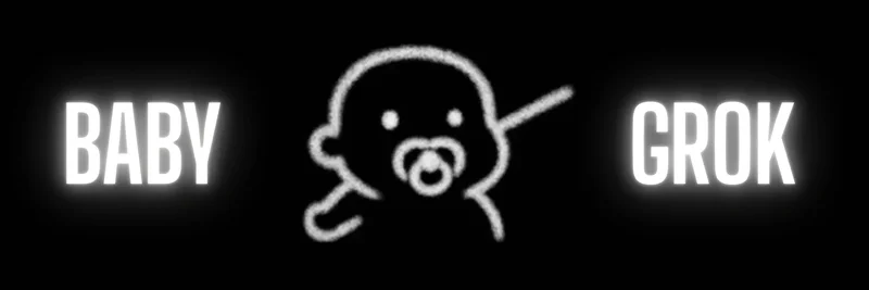 BABYGROK on Solana: Complete Guide to This Meme Token’s Market, Community, and Security