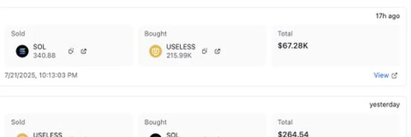 Smart Money Moves: Unveiling the Useless Coin Trend on Solana