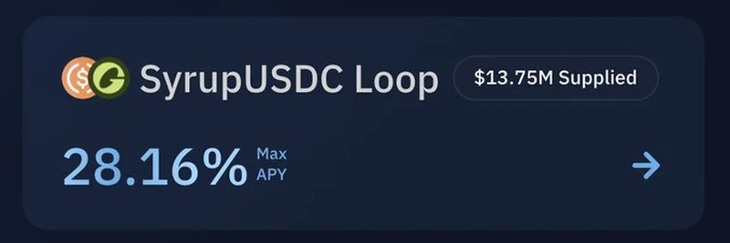 使用 Kamino SyrupUSDC Loop 提升您的 DeFi 收益：年化收益率高达 28.16%