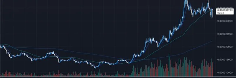 Is BONK the Next Big Meme Coin in 2025? Analyzing the Hype Trade