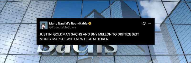 MONEY Token on Solana: A Deep Dive Into Its Origins, Risks, and Community Dynamics