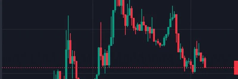 최고의 밈 코인 주자: 2025년 7월 23일 $TRUST와 $DNUT 빛나다