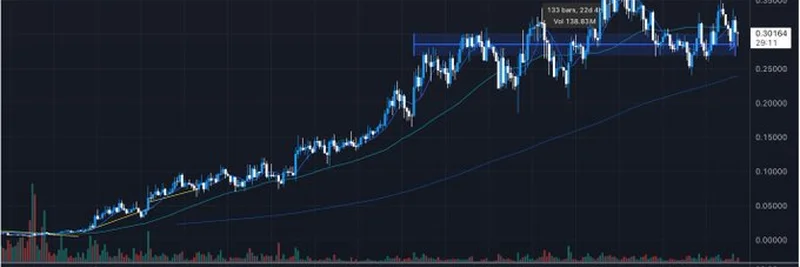 Useless Coin Outshines Utility Tokens in Market Meltdown: What’s Next?