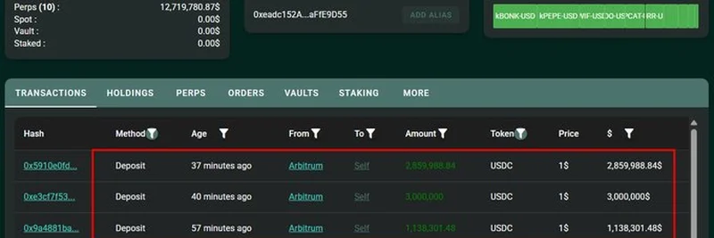 Whale Moves $6.99M USDC into Hyperliquid for Meme Token Leverage Trading