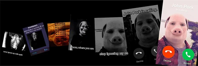 PORK Token on Solana: A Comprehensive Guide to the Meme Coin Phenomenon