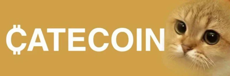 Solana의 Cate ($CATE): 밈 코인 열풍, 리스크, 그리고 커뮤니티 인사이트