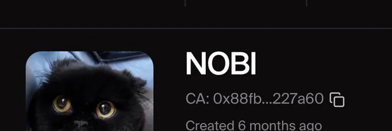 Nobiメムコイン成功物語：猫コインが92,000ドルの手数料を稼いだ方法
