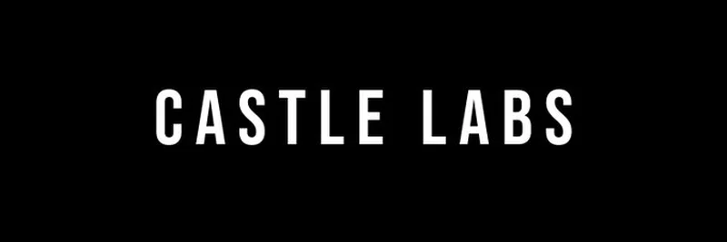 Castle Labs：区块链及更多领域开源研究的先驱
