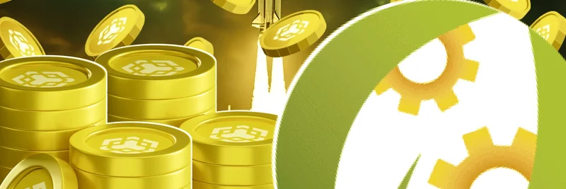 미국 상장사, 5억 달러 모금으로 BNB 고래 되기 목표
