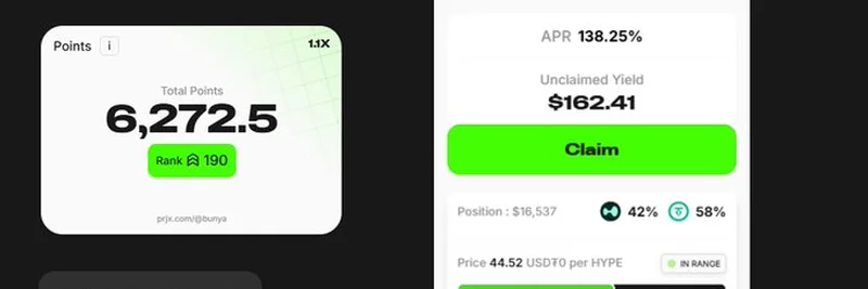 Exploring Bunya_eth's 24H LP Position on HYPE/USDT: A Deep Dive into Project X