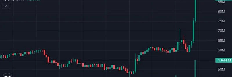 BankrCoin (BNKR) Soars with Massive Gains After Coinbase Listing