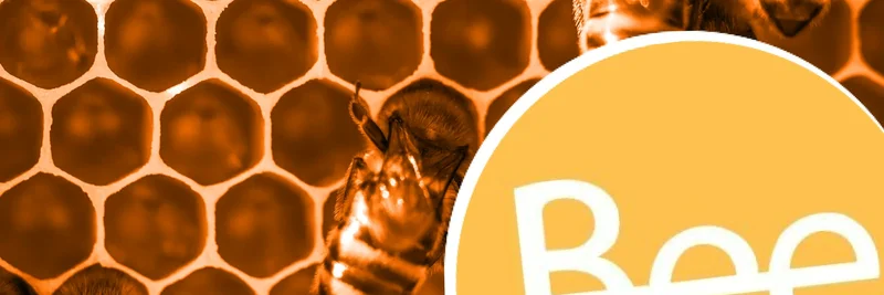 Bee Network 与 $BEE 代币：全面解析——值得你投入时间吗？