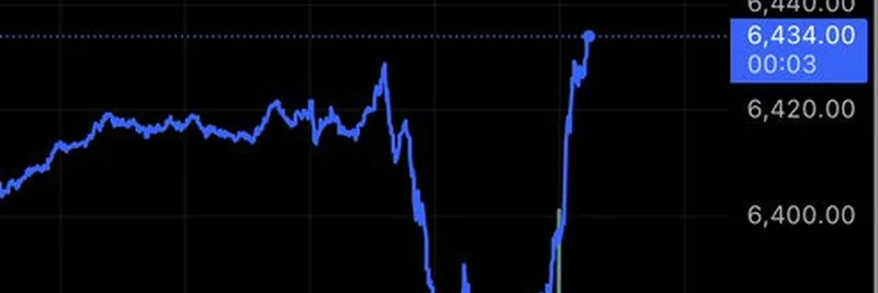 Understanding the ES1 Market Flush: Insights from Marty Party's Tweet