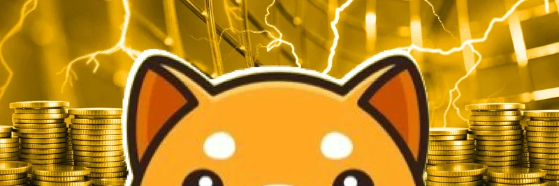 探索BabyDoge：BSCNews聚焦的最新Meme币趋势