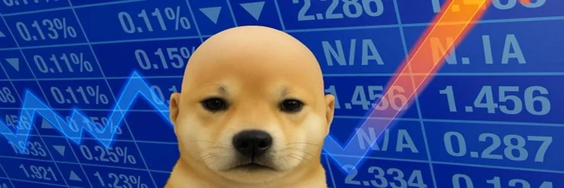 Wifout (WIFOUT)：深入解析Solana上的狗狗主题Meme币