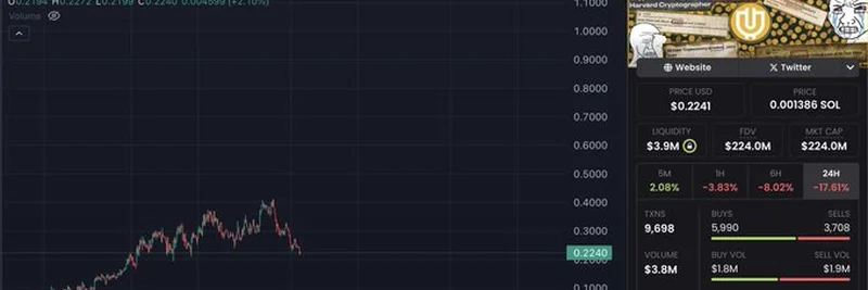 Useless Coin이 다음 폭발할 밈 코인일까? 최신 강세장 가능성 분석