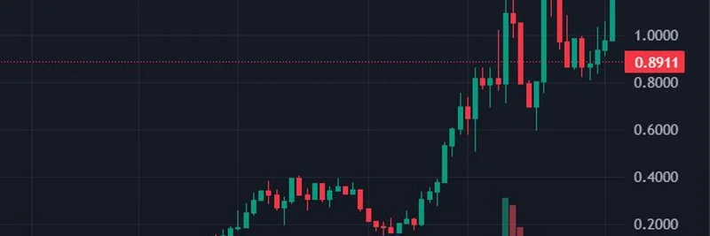 预测下一个Memecoin热潮：你该在USELESS、BONK和ETH下跌时买入吗？