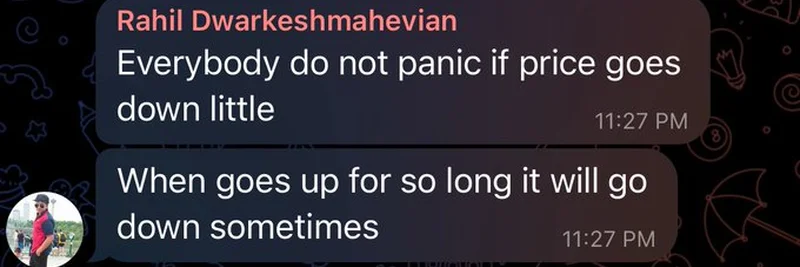 Understanding Meme Coin Price Fluctuations: A Lesson from Rahil