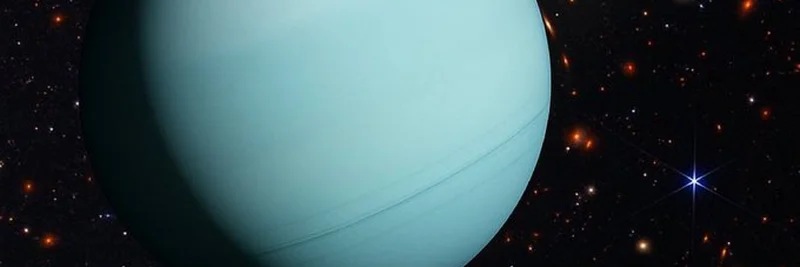 Uranus Meme Coin：2025年腾飞新高度