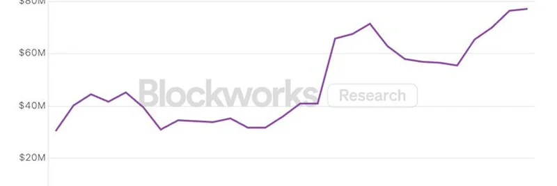 Solana Treasury Companies: SOL Holdings Update for 2025 by Blockworks Research