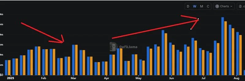 Perp DEXs vs Launchpads: Which Crypto Model Wins in 2025?