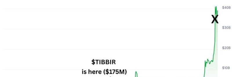 2025년 밈 토큰 현상, $TIBBIR의 급부상 탐구
