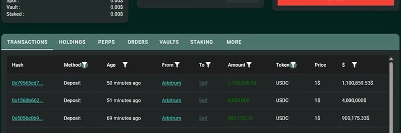 고래, HyperLiquid ETH 숏 포지션에서 950만 달러 USDC 입금으로 청산 회피