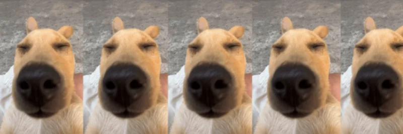 Solana上のChurro（CHURRO）：犬テーマのミームコイン、取引、DeFiユーティリティ完全ガイド