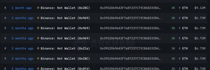 Whale 0x3952 Withdraws $37.6M ETH from Binance: Unrealized Profits Soar to $111M
