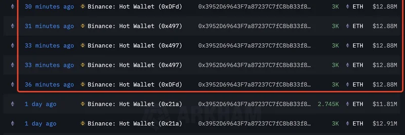 ETH Whales Accumulating: Massive Binance Withdrawals Signal Bullish Momentum for Ethereum Meme Tokens