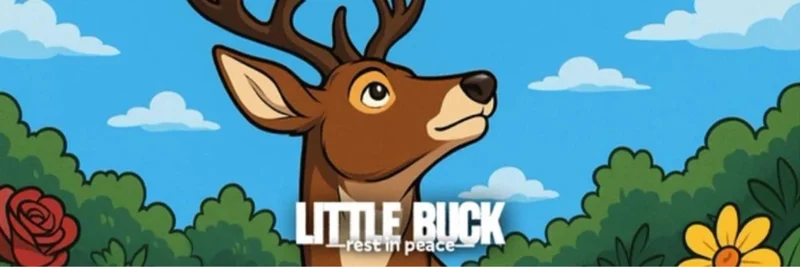 Solana上のLittleBuck (LITTLEBUCK)：トークノミクス、市場パフォーマンス、リスク、取引方法