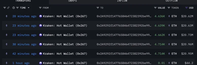 Whale Withdraws $104M ETH from Kraken: Implications for Meme Tokens