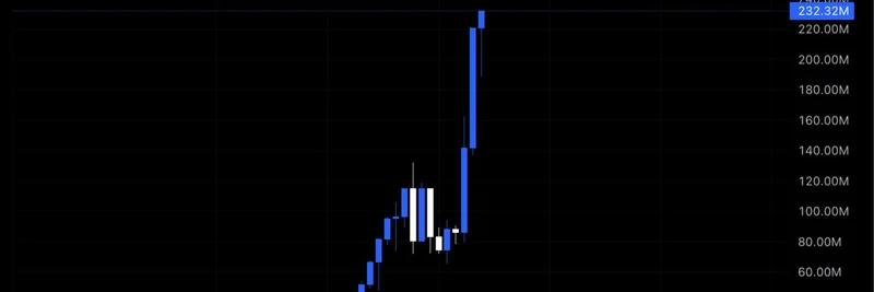 ボブ・ルーカスの強気相場の洞察と急騰する$TIBBIRミームコイン