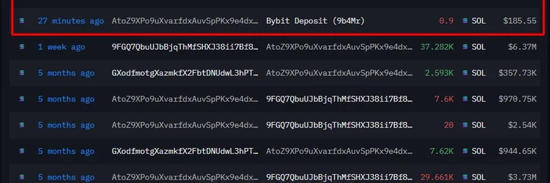 Crypto Whale Deposits 39,875 SOL to Bybit, Securing $2.93M Profit Amid Solana Meme Boom