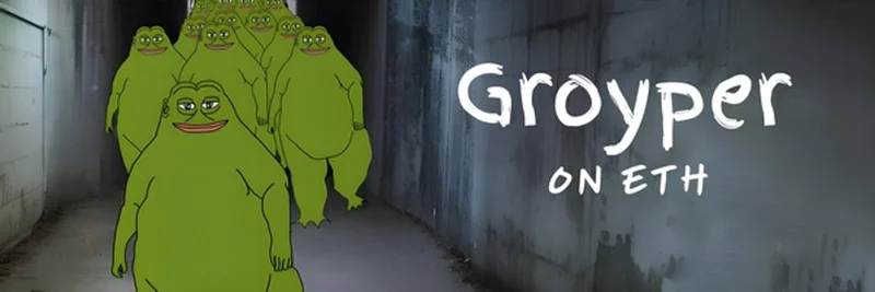 Groyper (GROYPER) 在 Ethereum 上：代币经济、市场快照、风险与购买指南