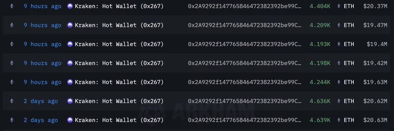 Mysterious Whale Scoops Up $242 Million in ETH from Kraken During Market Dip