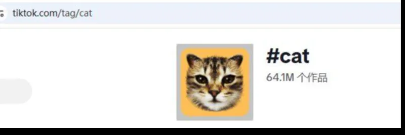 Solana의 Cat (#cat): 토크노믹스, 거래 방법 및 위험에 대한 실용 가이드