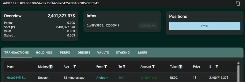 Whale Deposits $2.4M USDC into HyperLiquid to Buy HYPE Tokens: What It Means for the Meme Coin Market