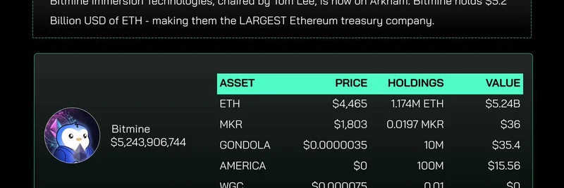 Bitmine Emerges as World's Largest ETH Treasury Holder with Surprising Meme Coin Dips