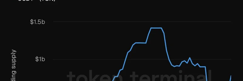 USDT on TON Surges $300M: Growth Implications for Meme Tokens