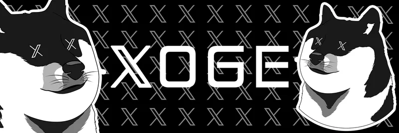 BNB Chain上のXOGE：マルチチェーン・ミームトークンのガイド、リスク、取引、検証方法
