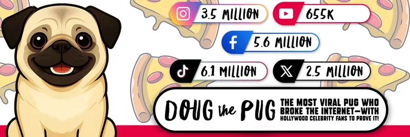 BNB Chain 上的 DOUG 表情包代币：社区卷土重来、风险与交易指南