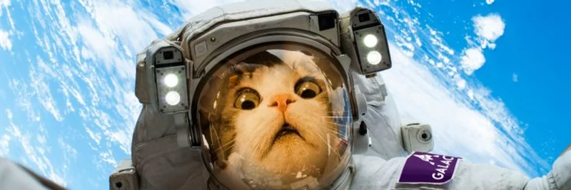 SolBurq Dives into Solana's Meme Token Trenches: Enhancing UX on Jupiter Mobile