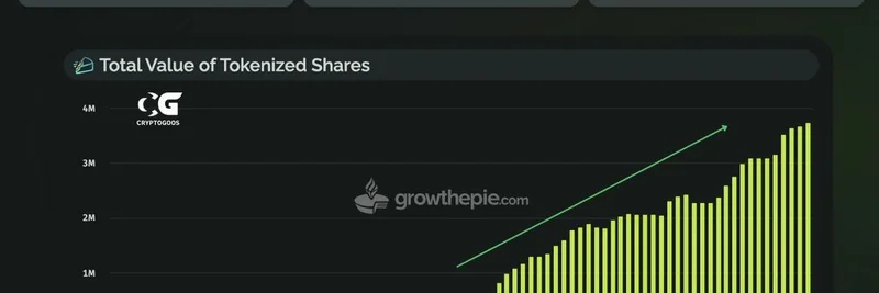 Solana 上的 Raydium 在代币化资产交易量上超越 Robinhood：$119M 对 $4M 的洞察