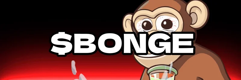 BONGE THE MONKEY (BONGE)とは？トークノミクス、ローンチ日、Solanaでの取引方法